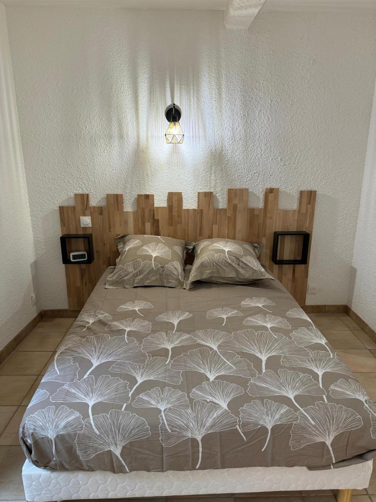 Charmant Appartement En Hypercentre De Castelnaudary Extérieur photo